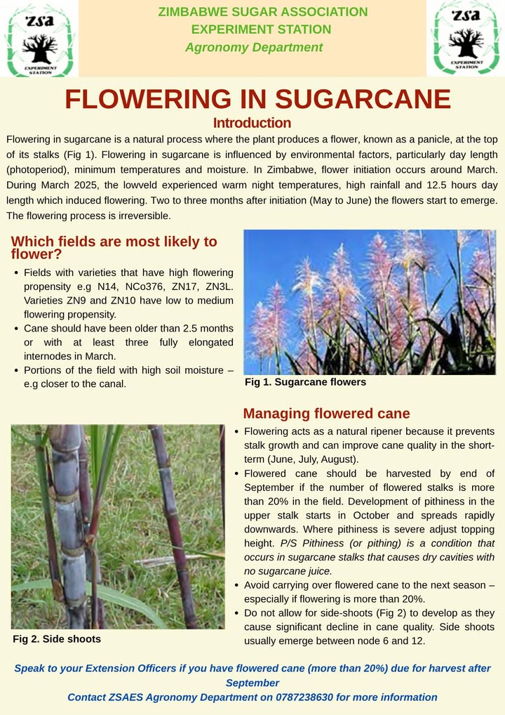 Zimbabwe Sugar Association Experiment Station