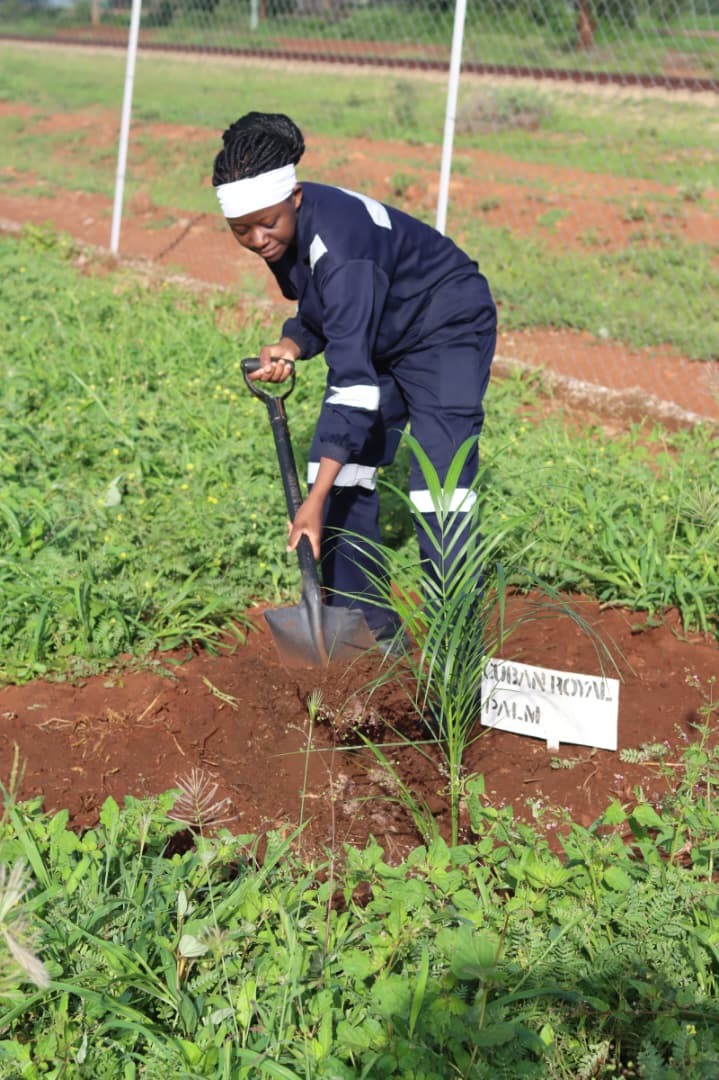 Zimbabwe Sugar Association Experiment Station