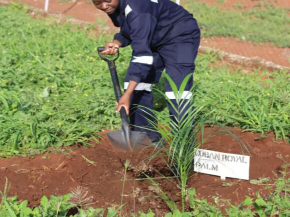 ZSAES Commemorates National Tree Planting Day